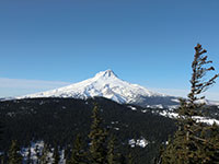Mt Hood from Badger Butte Summit