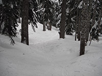 Trail Back to SnoPark