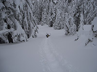 Katie Glissading Down Maxwell Butte