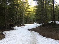 Start of the Worm Flows Route on Mount St. Helens