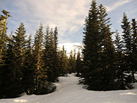 First Glimpse of Mt. St. Helens