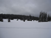 Bonney Meadows, Oregon