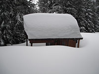 Outhouse Buried by Snow at Bonney Meadows Campground