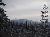 Mt Jefferson from Forest Road 4891