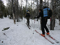 Matt and Loius Skiing Back towards Pole Creek Trailhead