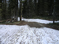 Patches of Snow Blocking Vehicles on NF-500 Road 3 Miles from Trailhead at Cold Springs Campground