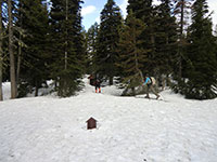 Louis and Matt Skinning Past the Outhouse at the South Climb Trailhead