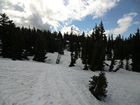 Snowmobile Tracks Near Mt Adams Wilderness Boundry