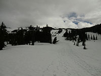 Looking up Towards the Cloud Covered Summit of Mt Adams