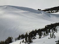 Ski Tracks Below Cornices