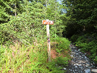 Whitewater Trail #3429