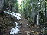 Periodic Patches of Snow at Lower Elevation