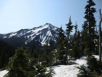 Mt Jefferson from Snow Covered Trail