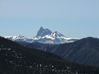 Three Fingered Jack