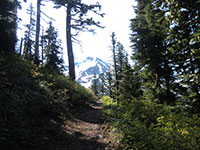 Mt Jefferson from Whitewater Trail