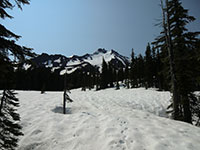 Mt Jefferson from Pacific Crest Trail