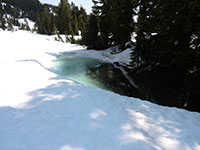 Frozen Pond