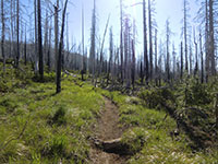 Summit Lake Trail #4014 to Square, Booth, and Martin Lakes