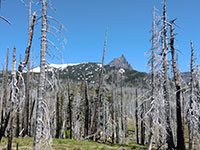 Three Fingered Jack from Near Booth Lake