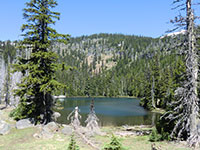 Martin Lake