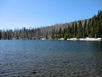 Martin Lake (looking South)