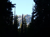 Mt Adams from Cold Springs Campground