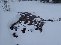 Hidden Hazards at Bonney Meadows