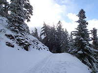 Deeper Snow Near the Terrible Traverse