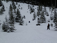 Aunt Julie Sledding