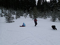 Jeff Pulling Pam and Daughter Chloë on a Sled while Porter (sister's dog) Plays