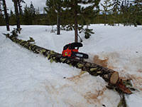 Cutting Firewood