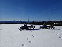 Mt Jefferson from the Top of a Plateau