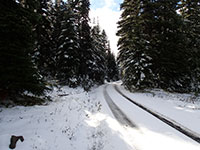 First Snow of the Year