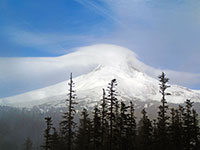 Mt Hood peaking out behind the clouds and fog