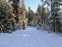 Plenty of virgin snow up higher