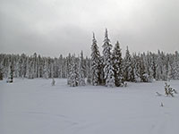 Bonney Meadows covered in snow
