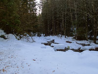 Humbug Creek in the snow