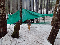 Charlie leaving our dry campfire area