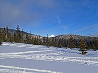 Mt Hood in the snow