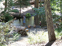Ryan, Fiona, and Julian playing in Barlow Creek