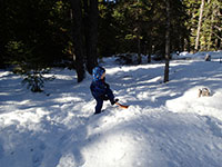 Julian doing some digging in the snow