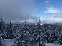 View from Clear Lake Lookout Tower