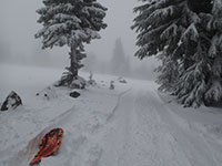 Foggy low visibility weather with snow everywhere