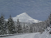 Snow covered Mt Hood in November