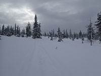 Snowmobiling near the berry fields West of Mt Adams