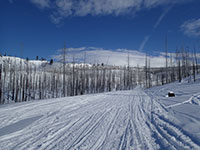 Snowmobiling off-trail on the edge of the A.G. Aiken Lava Bed