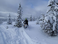 Steve ripping up the powder on his Polaris Pro