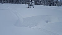 Watch out! Deep holes at Bonney Meadows