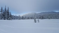 Bonney Meadows, Oregon in winter