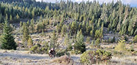 John hiking up a hill for a better look